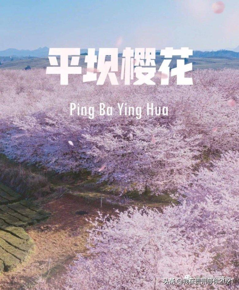 艾为电子涨13.45%